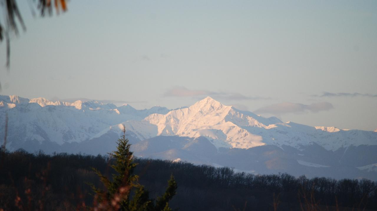 Gite Au Bouzigues Monlaur-Bernet Esterno foto