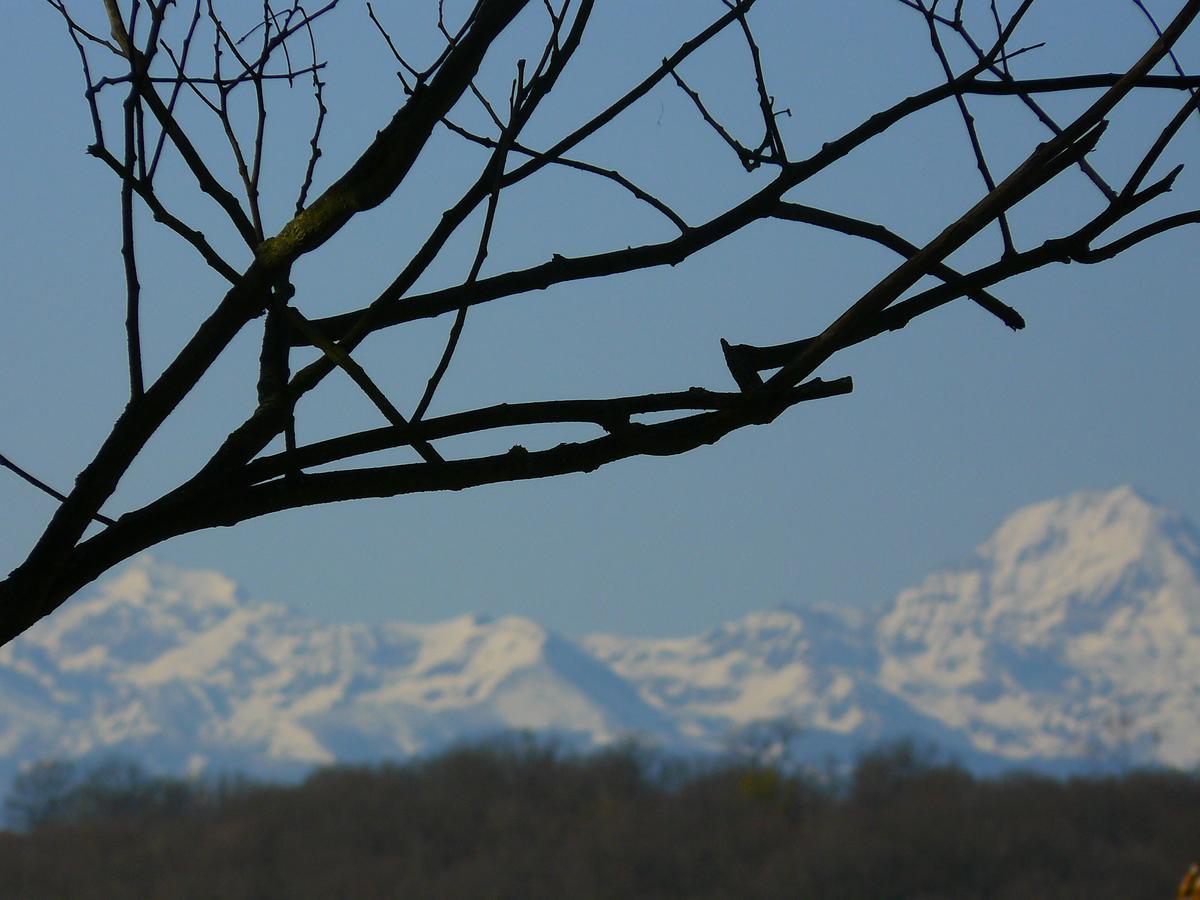 Gite Au Bouzigues Monlaur-Bernet Esterno foto